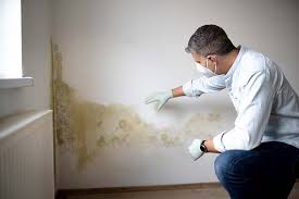 Mold Remediation for Rental Properties in Bellevue, WA